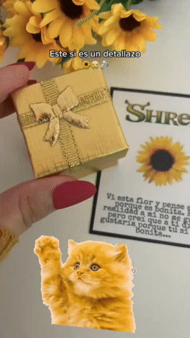 Anillo Girasol Giratorio