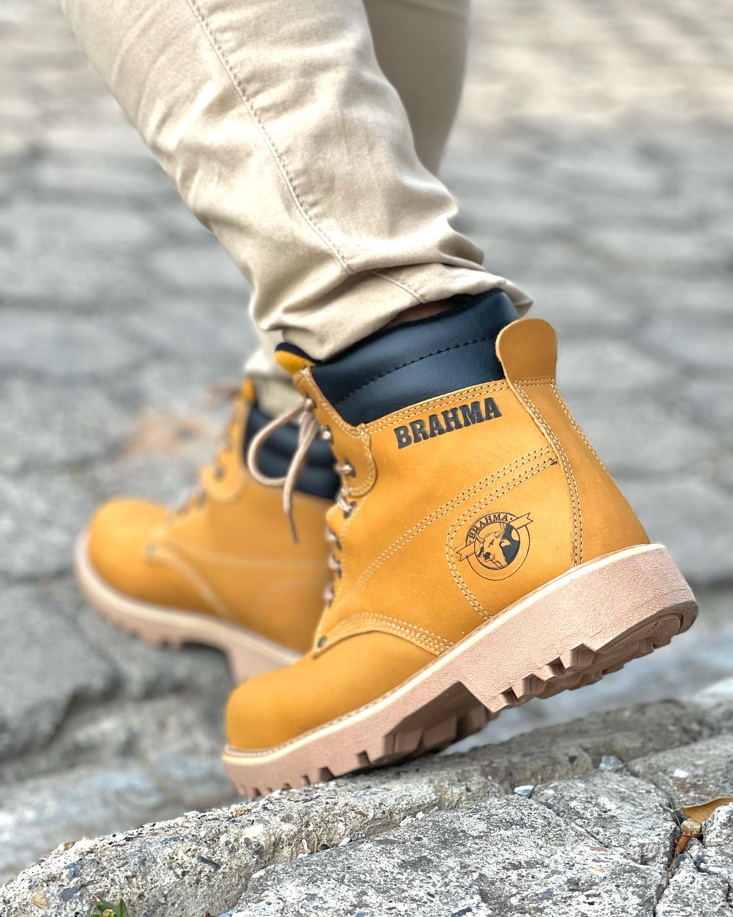 Bota Brahma